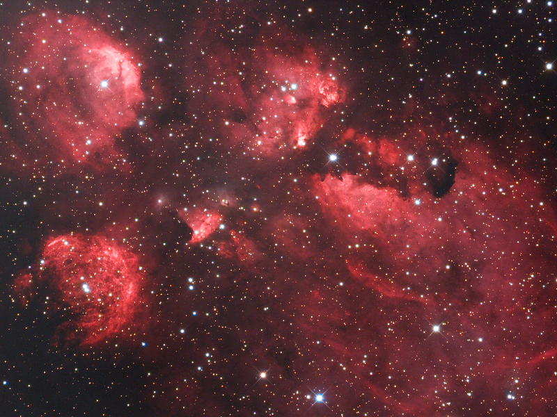 NGC6334 - Cat