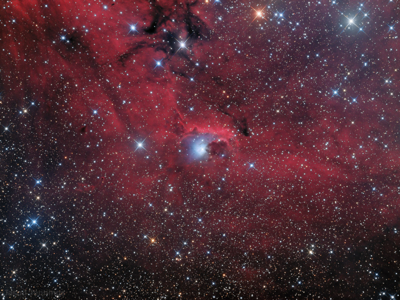 NGC2626