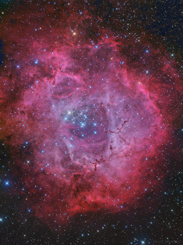 NGC2237