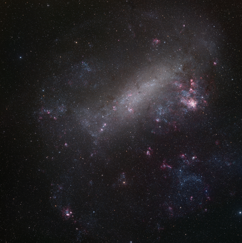 The Large Magellanic Cloud