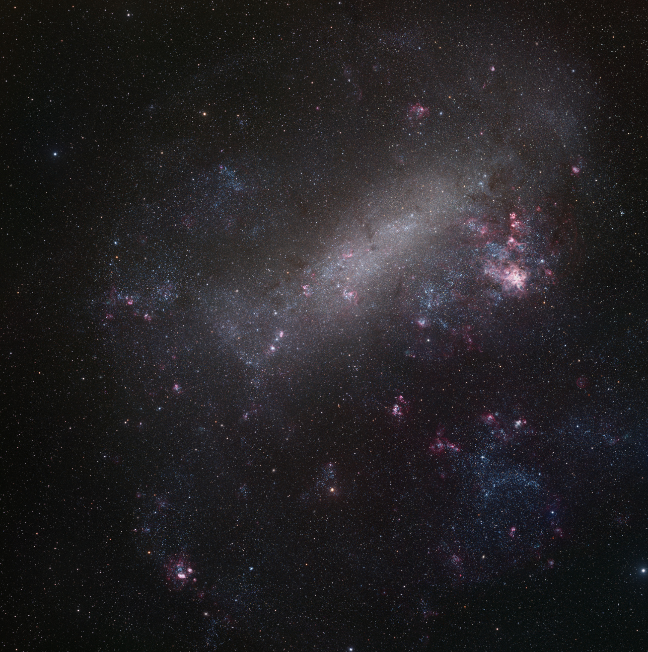 The Large Magellanic Cloud