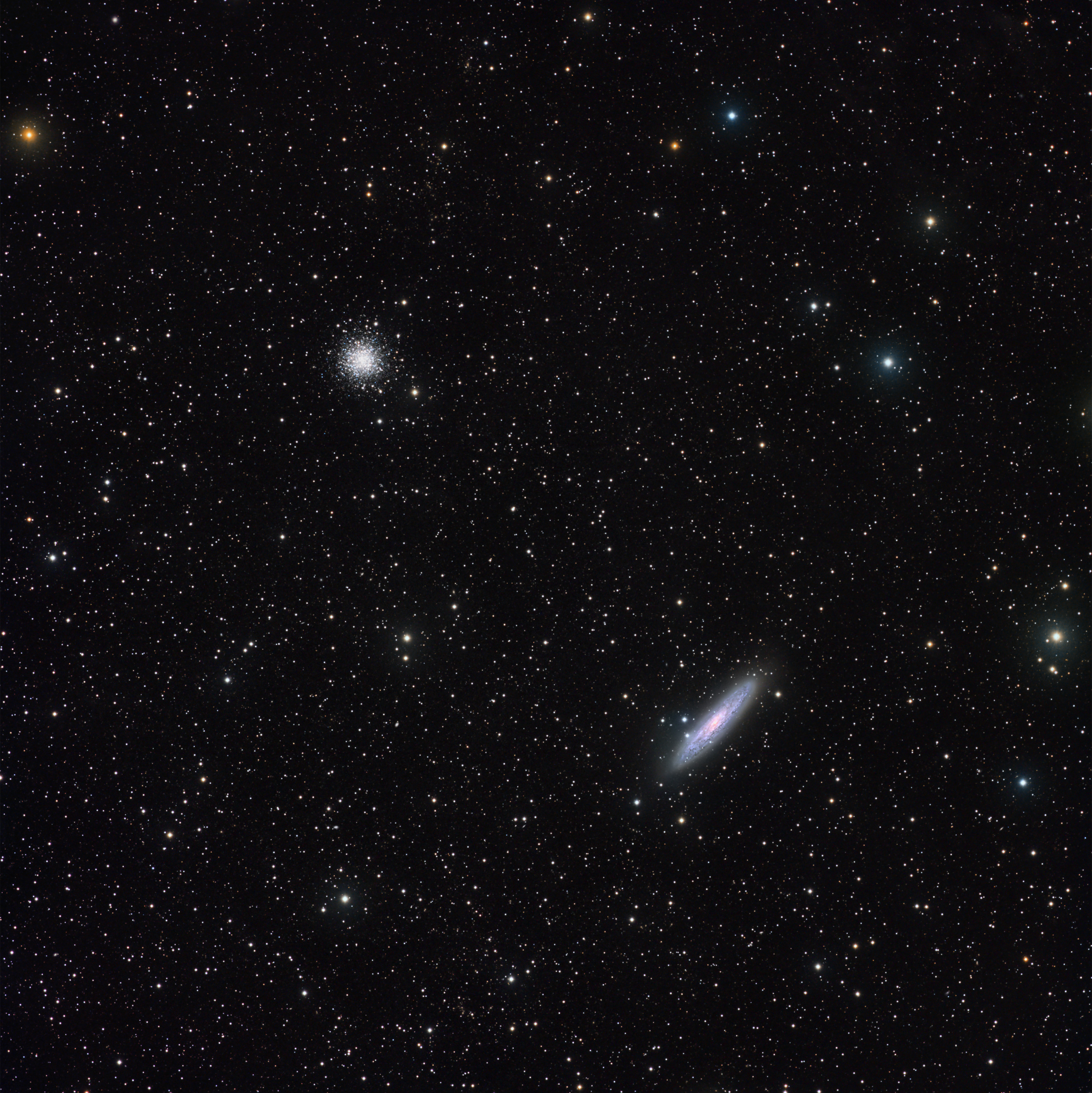 NGC253-NGC288