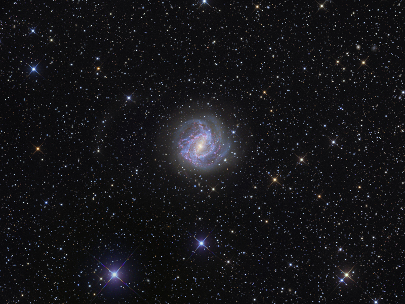 M83
