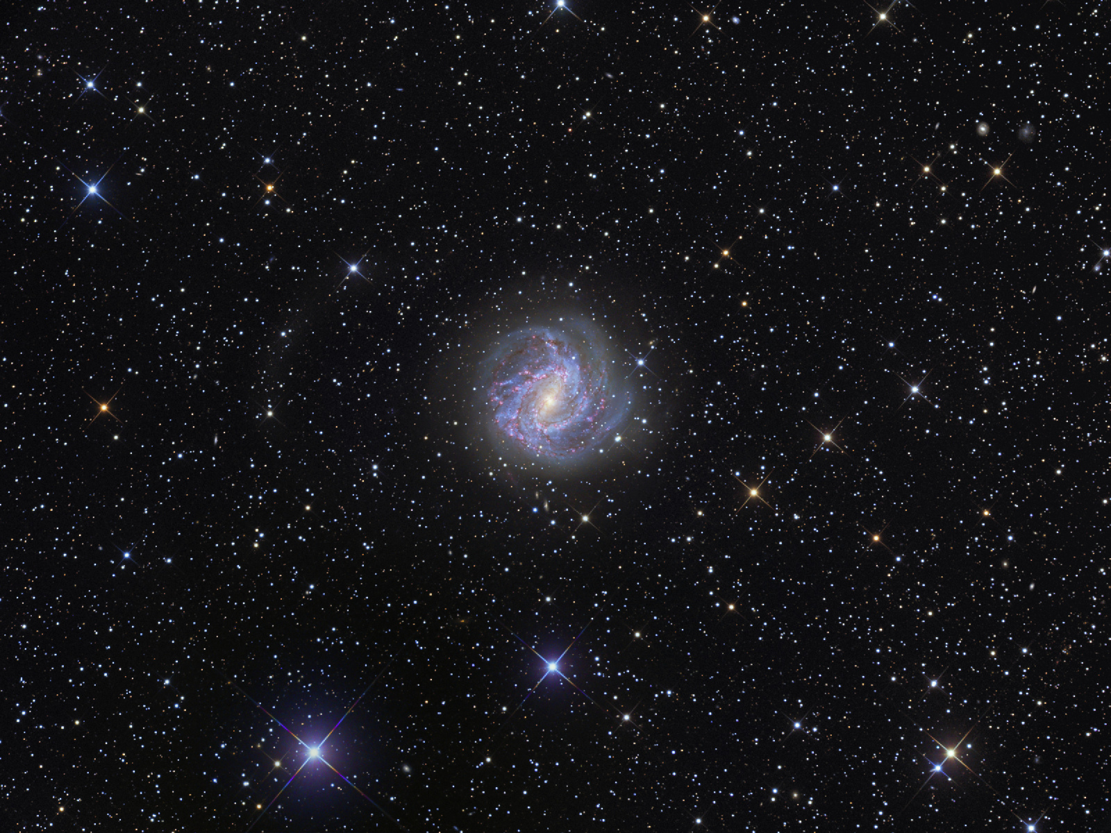 M83