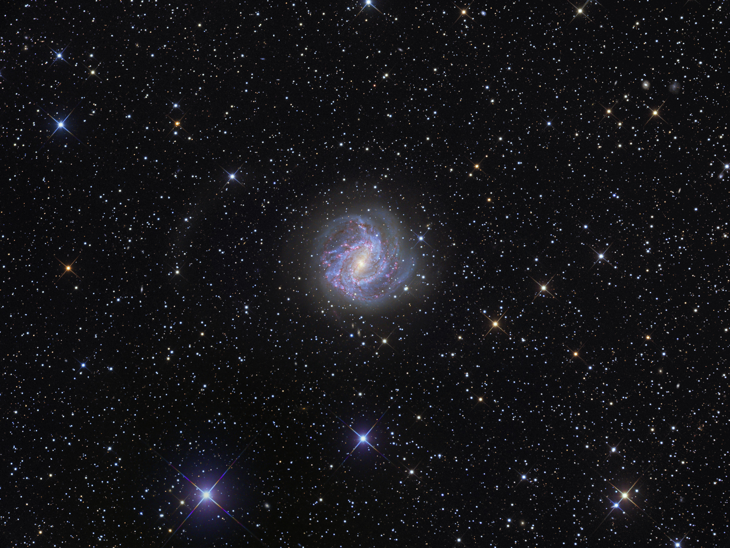 M83