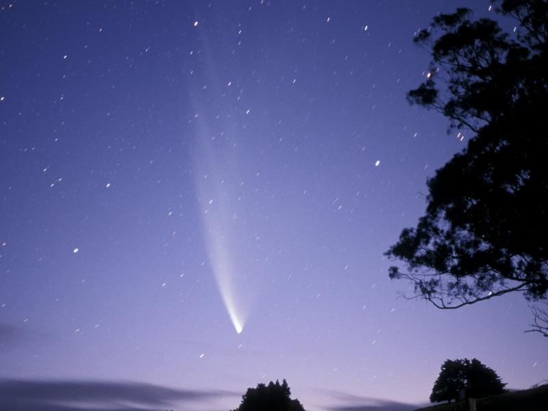 C2006 P1 - McNaught